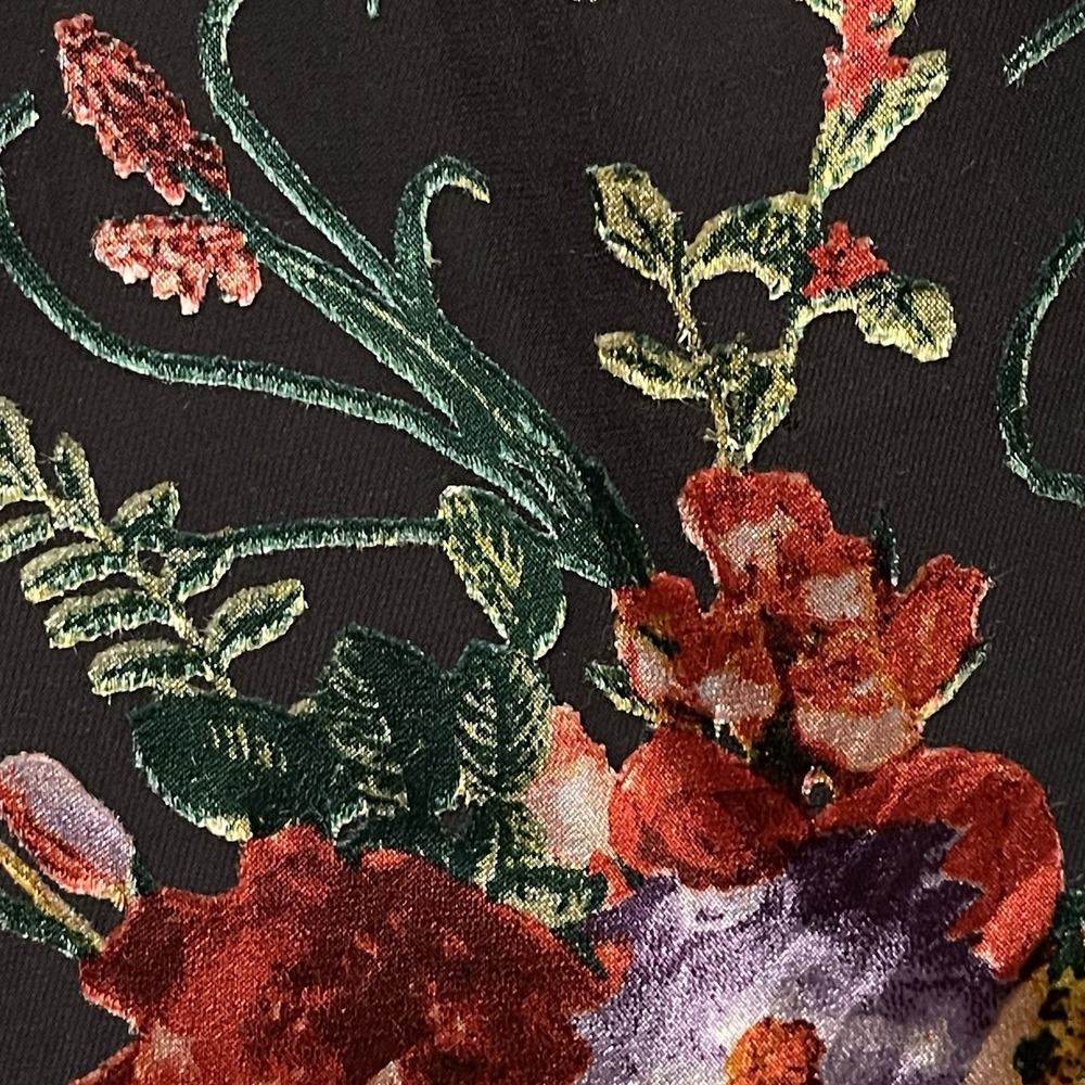 Alice & Olivia Asymmetrical Floral Top Velvet Overlay Whimsygoth Moody Size S /P - Picture 3 of 9
